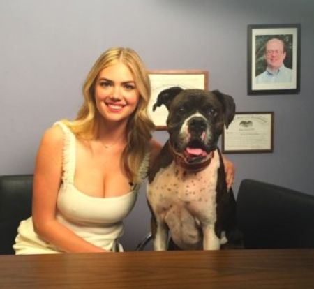 Kate Upton and Justin Verlander with their pet dog, Harley