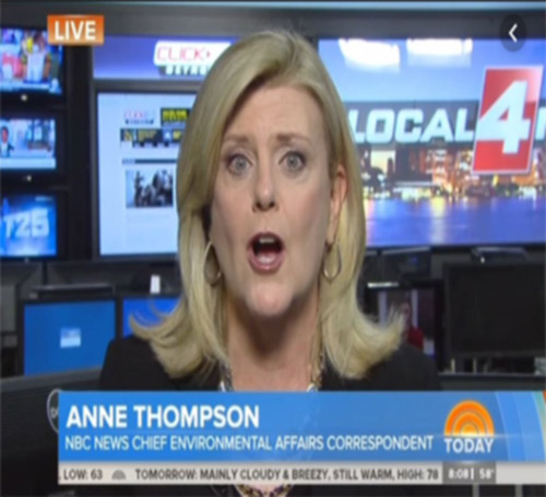 Anne Thompson as a chief environmental affairs correspondent