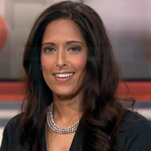 Caputed image of Seema Iyer while on a show for HLN Channel.