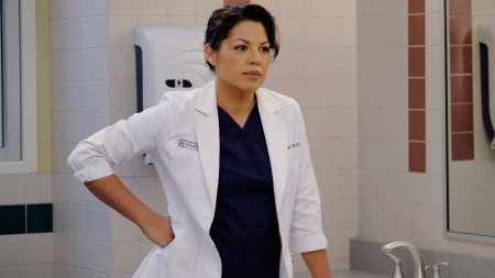  Sara Ramirez played Calliope Torres in the 2005 ABC series, Grey's Anatomy.