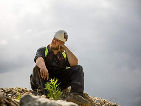Mike Beets is sitting in Motherlode Mountain while searching for a real gold. What's Mike Beet's current marital status?