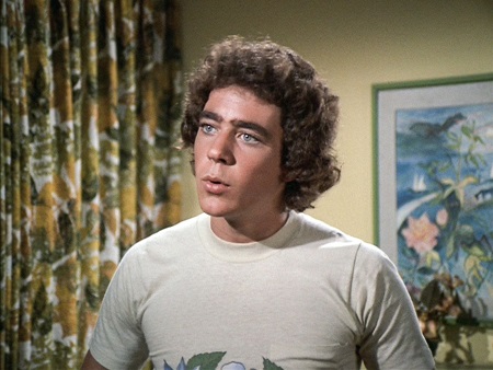 Barry Williams as Greg Brady on The Brady Bunch (1969–1974)