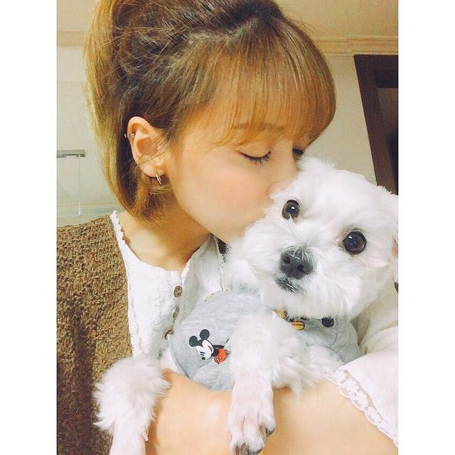 Selfie picture of Ji-Hee Hong kissing her pet dog Comey.