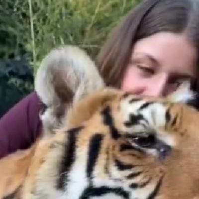 She is holding the tiger close to her.