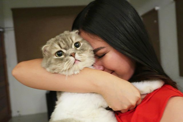 Picture of Yeng Constantino along with her cat Romulus